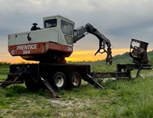 Prentice 384